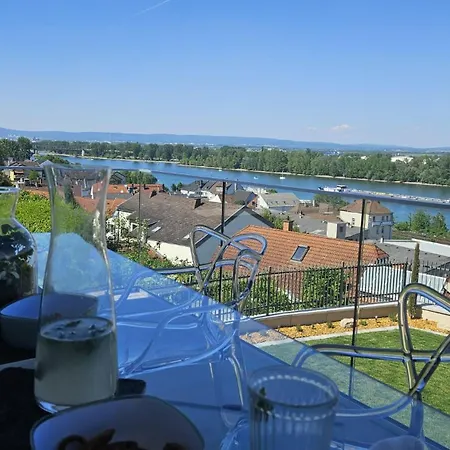 Rheinview - * Mainz
