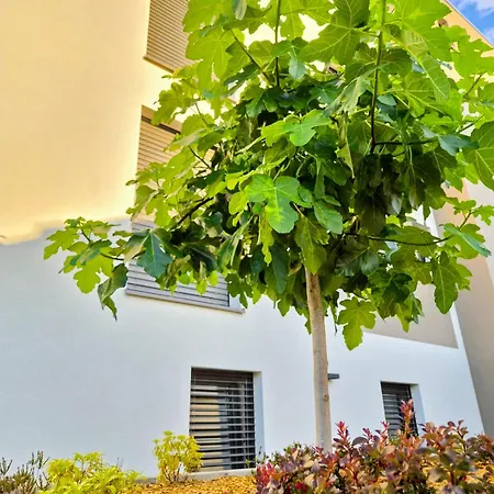 Rheinview - Apartment Mainz