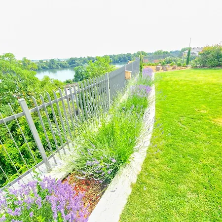 Rheinview - Apartment