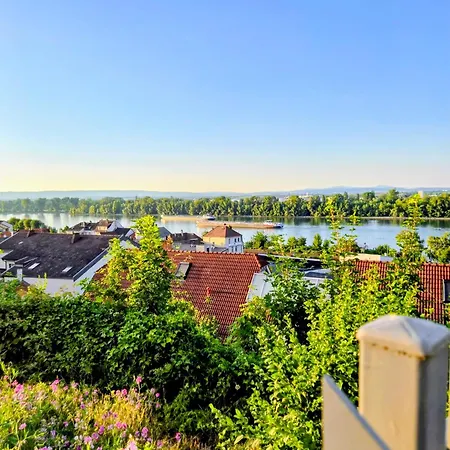 Apartment Rheinview -