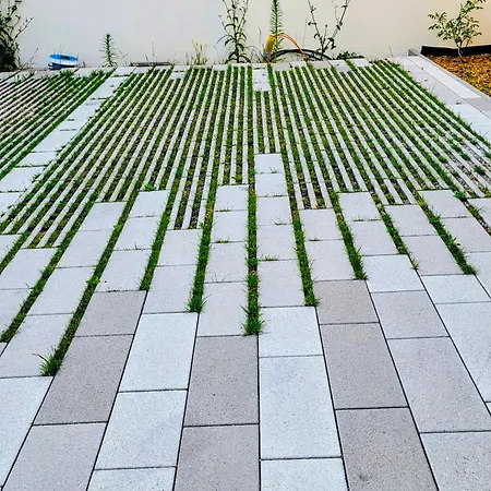 Apartment Rheinview - *