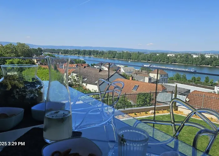 Rheinview - * Mainz